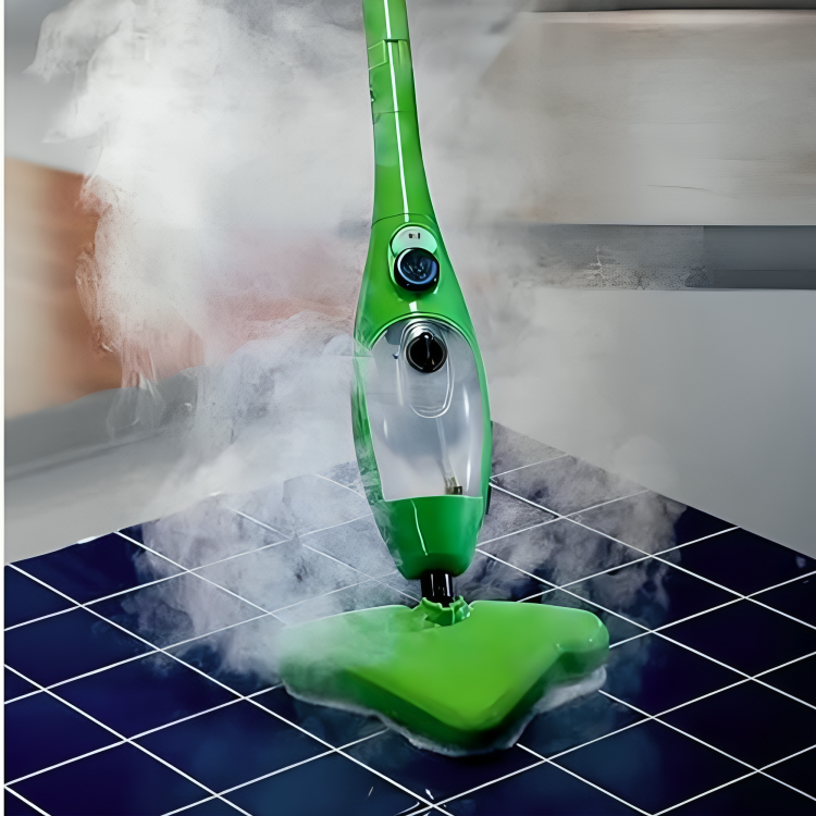 Perfect Steam Mop